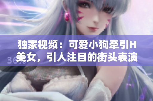 獨(dú)家視頻：可愛小狗牽引H美女，引人注目的街頭表演
