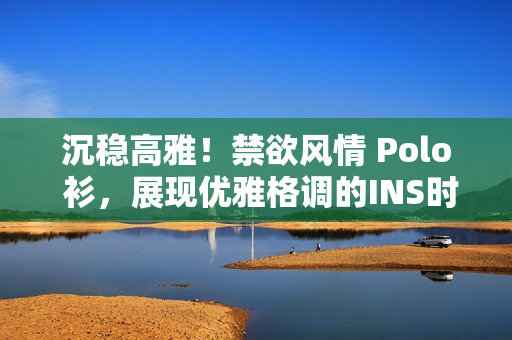 沉穩(wěn)高雅！禁欲風(fēng)情 Polo 衫，展現(xiàn)優(yōu)雅格調(diào)的INS時(shí)尚