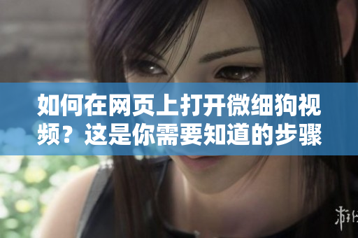 如何在網(wǎng)頁上打開微細(xì)狗視頻？這是你需要知道的步驟