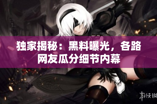 獨家揭秘：黑料曝光，各路網(wǎng)友瓜分細節(jié)內(nèi)幕