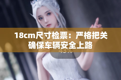 18cm尺寸檢票：嚴格把關(guān)確保車輛安全上路