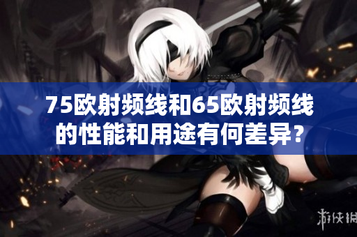 75歐射頻線和65歐射頻線的性能和用途有何差異？